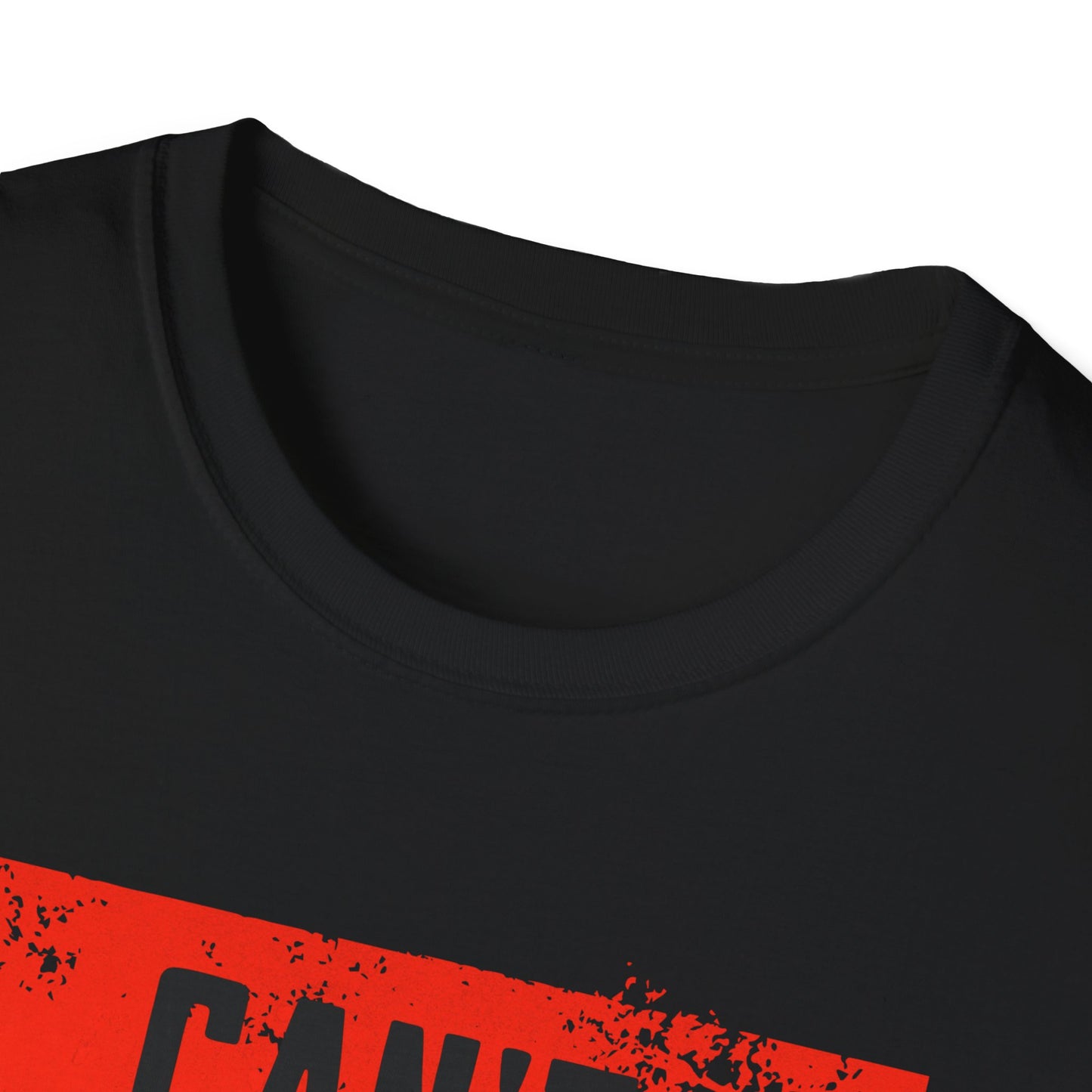 Can't Tame the Flame Adult T-Shirt – Unisex Softstyle Tee