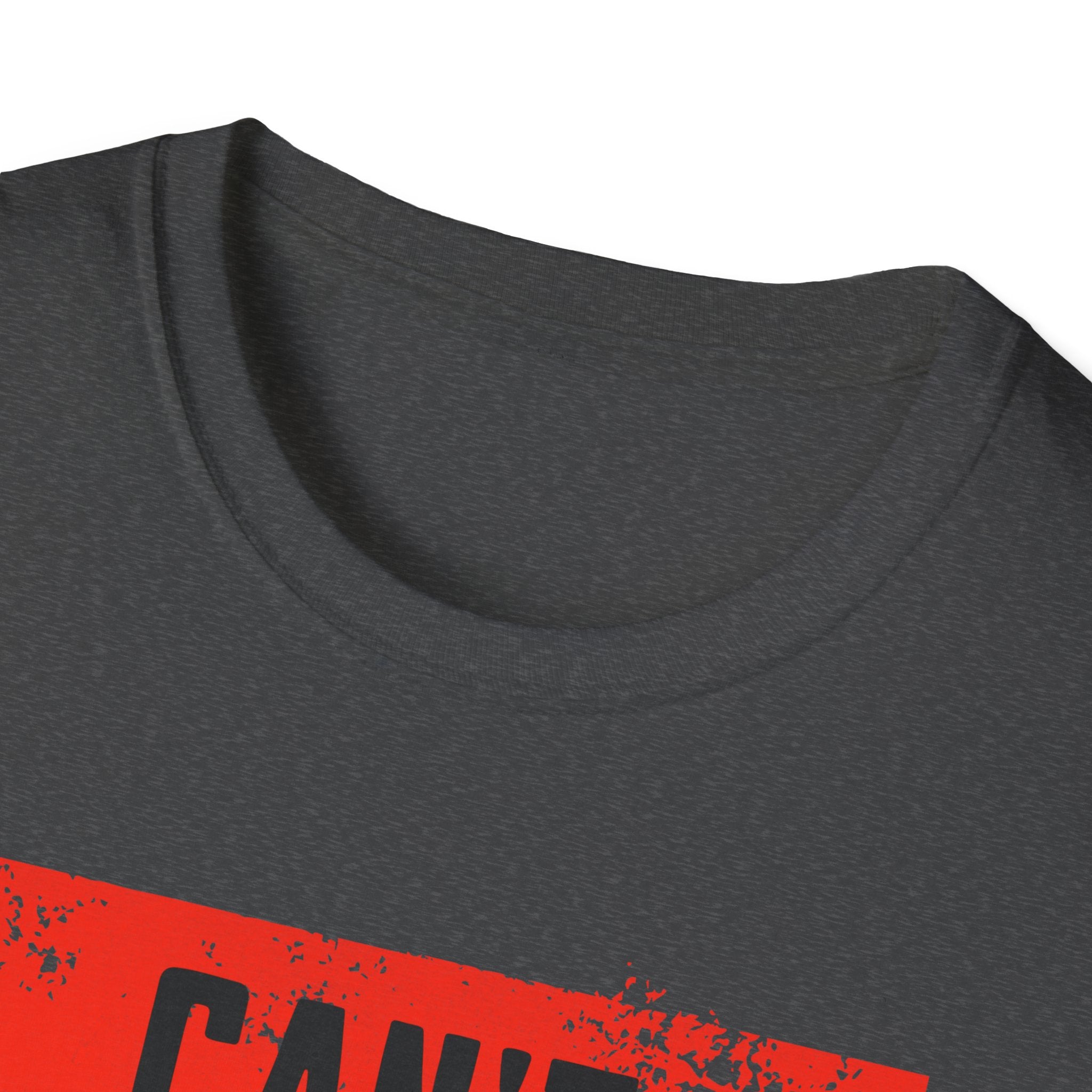 Can't Tame the Flame Adult T-Shirt – Unisex Softstyle Tee