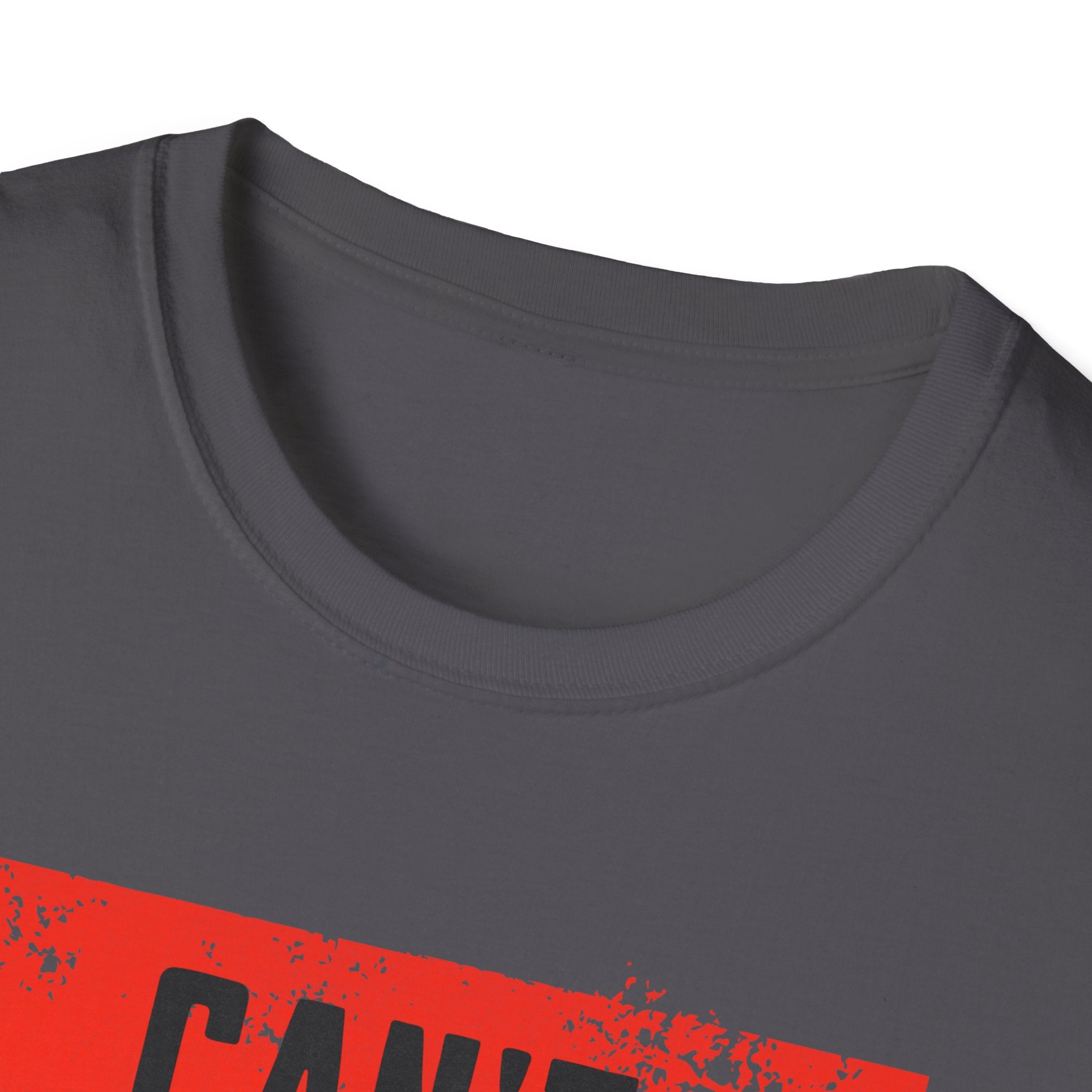 Can't Tame the Flame Adult T-Shirt – Unisex Softstyle Tee